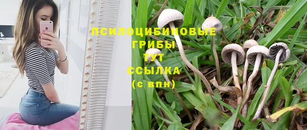 герыч Алексин